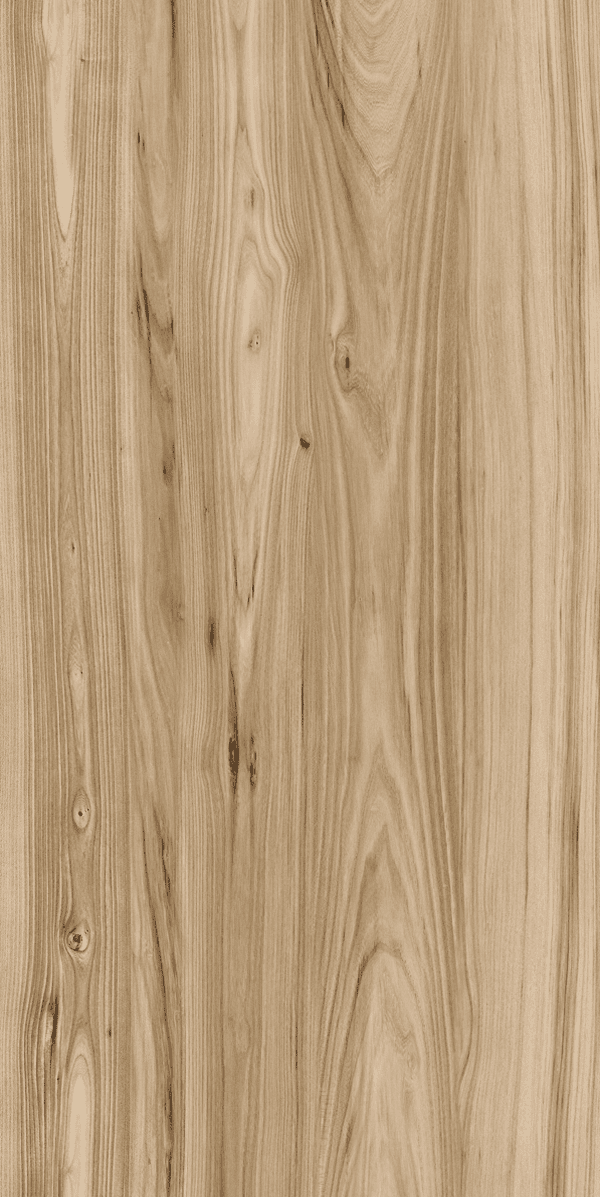 Zdjęcie LIMONE Otello light brown mat gres szkliwiony 59,7×119,7